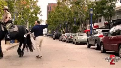 Man Horse GIF - Find & Share on GIPHY