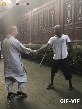 Kung Fu in funny gifs