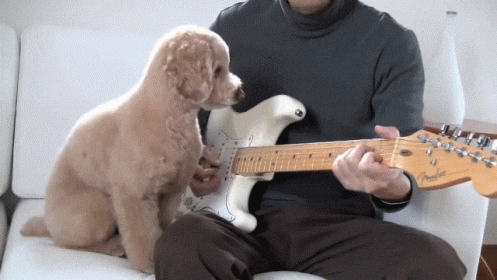 https://media.giphy.com/media/11m1MECuEdFOda/giphy.gif