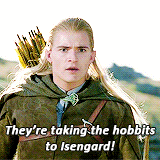 The Lord Of The Rings GIF - Find & Share on GIPHY