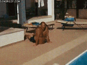 Fat Guy GIF by Cheezburger - Find & Share on GIPHY