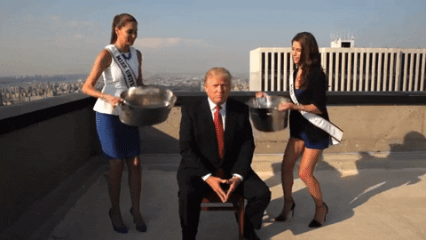 Donald Trump Wow GIF by Political Products Online