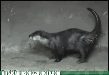 Petite movies at teen tube xxx Fabulous animals gifs find share on giphy-3342