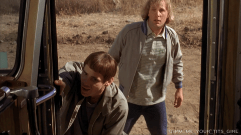 giphy.gif