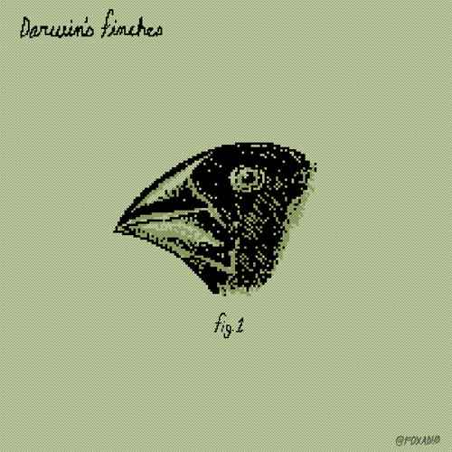 Charles Darwin Fox GIF by Animation Domination HighDef Find & Share