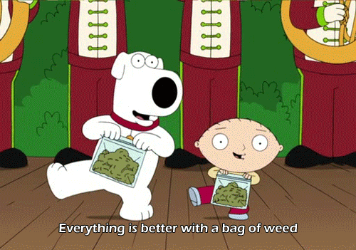 Family Guy Weed GIF