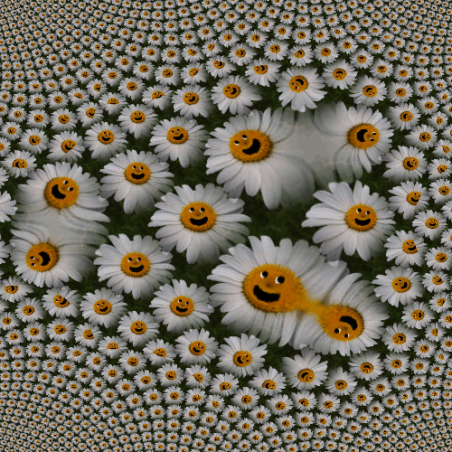 Happy Flowers GIF Find & Share on GIPHY