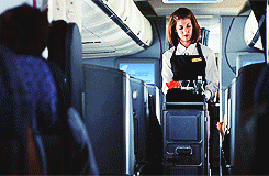 airplane up in the air airline flight attendant