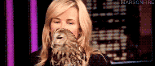 Chelsea Handler GIF - Find & Share on GIPHY