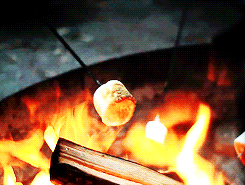 Image result for roast marshmallows and make s’mores GIF
