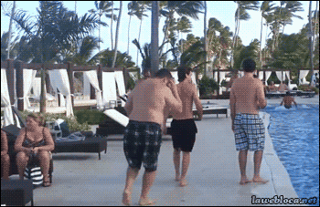 giphy.gif