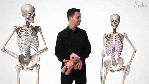 giphy-downsized-large.gif