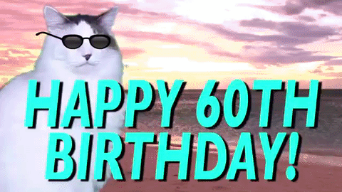 Birthday 60Th GIF - Find & Share on GIPHY