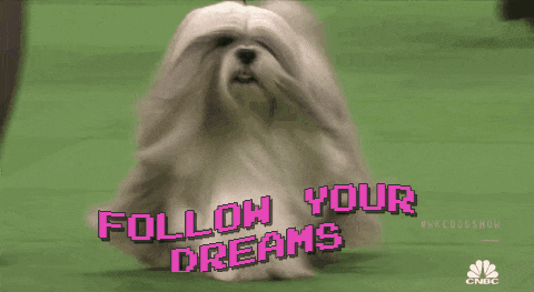 Image result for follow your dreams animal gif