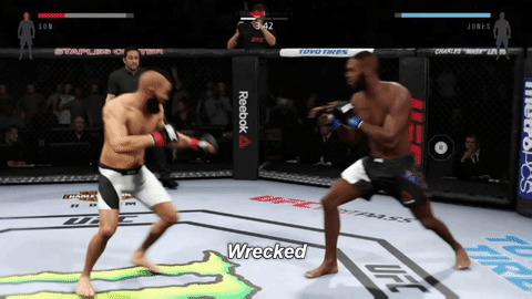 UFC KO