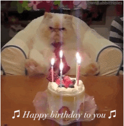 Happy Birthday Humor GIFs - Find & Share on GIPHY