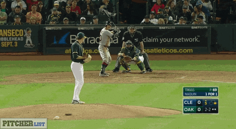 Baseball Fans GIF Find & Share on GIPHY