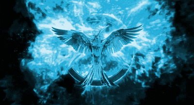 Mockingjay GIF - Find & Share on GIPHY