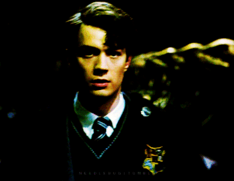 Harry potter se encuentra con el asesino de sus padres, pero de una forma distinta, una forma mas joven.
