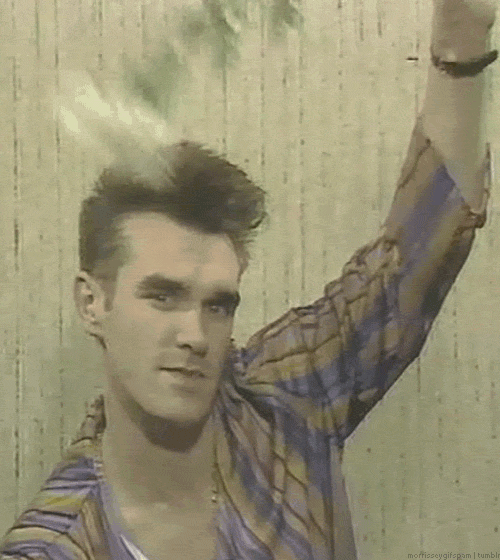 Morrissey GIF