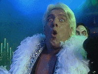 Ric Flair WOOOO