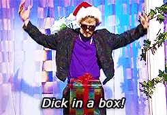 Dick in a box snl video