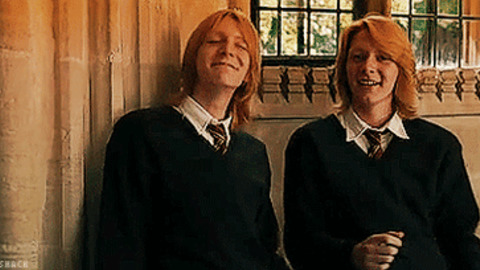 Weasley Twins GIFs - Find & Share on GIPHY