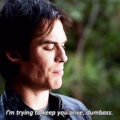 Tvd GIF - Find & Share on GIPHY