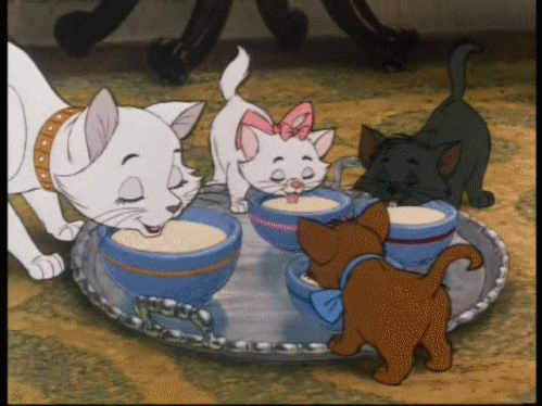 cats drinking milk the aristocats GIF