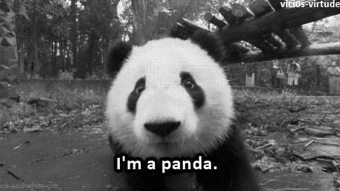 I'm A Panda best Gif