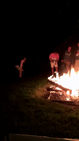giphy.gif