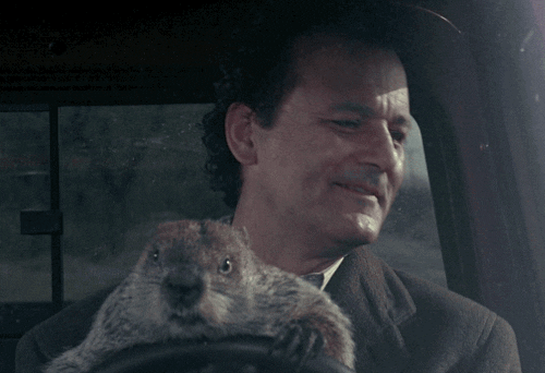 Happy Groundhog Day GIFs - Find & Share on GIPHY