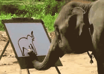 elephant animated GIF 