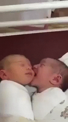 Kissing GIF - Find & Share on GIPHY