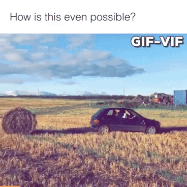 Car In Field in funny gifs