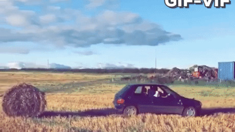 Car In Field
