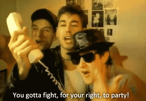 party beastie boys fight for your right