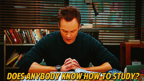 Does anyone know how to study?