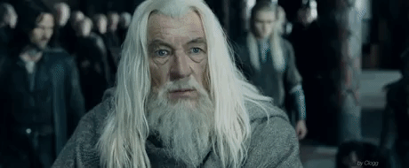 The reality of Gandalf in funny gifs