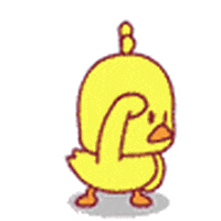 Chicken GIF - Find & Share on GIPHY