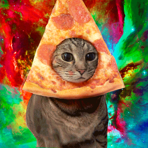 cat trippy pizza space psychedelic