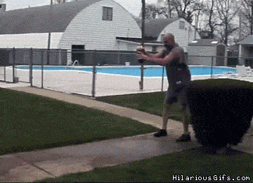 giphy.gif