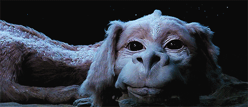 Neverending Story Wink GIF - Find & Share on GIPHY