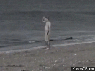 https://media.giphy.com/media/1338qIXPoOaqiI/giphy.gif