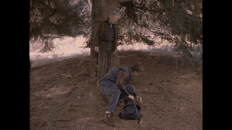 https://media.giphy.com/media/134NGcM6Mw5UIw/giphy.gif