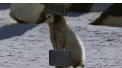 GIF of someone enthusiastically networking and meeting people