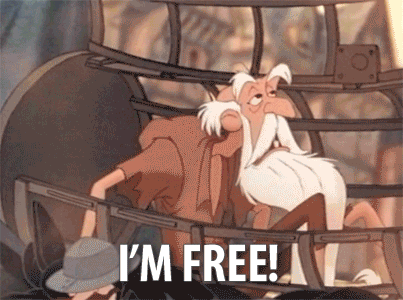 The Hunchback Of Notre Dame Jail GIF
