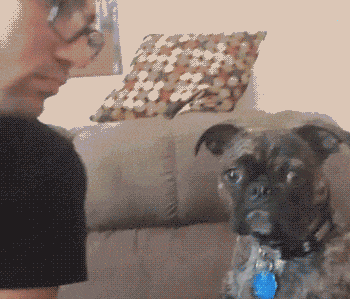 Giphy