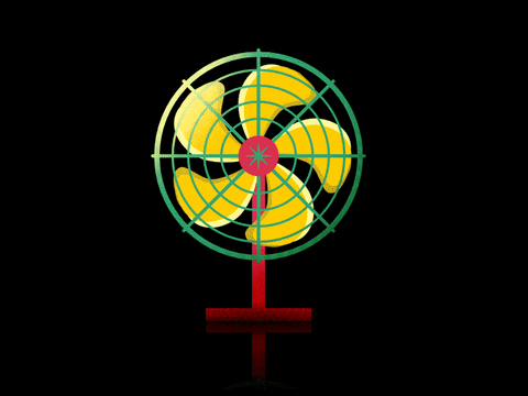 Fan GIF Find & Share on GIPHY