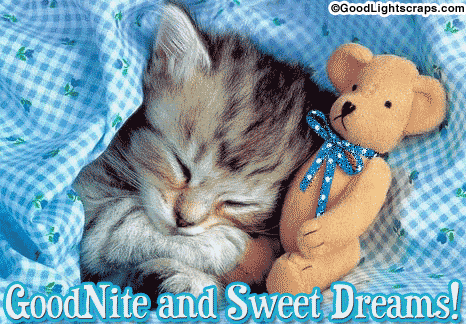 good night